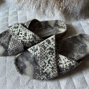 NWOT Seychelle’s Stylish Snake Print Leather Women's Sandals